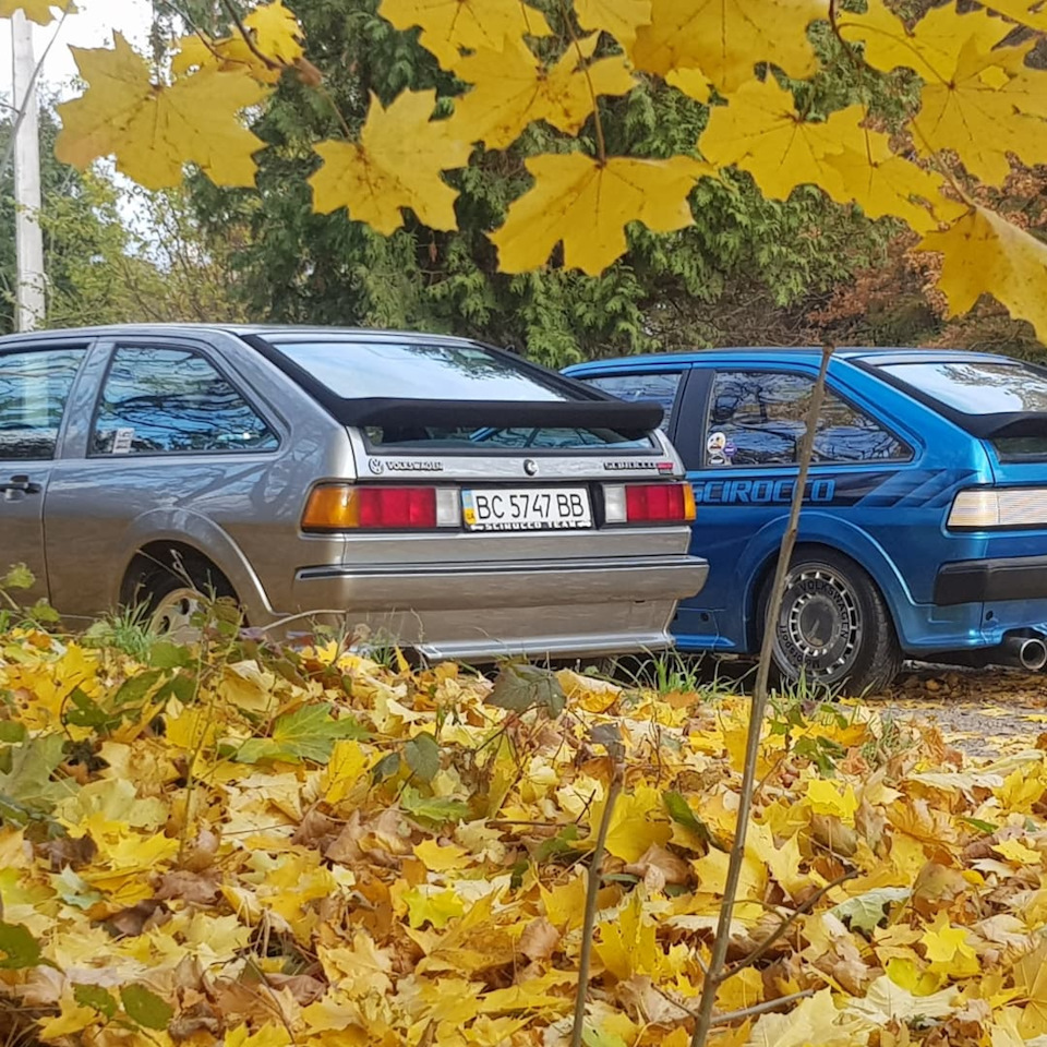 Фарбування 4