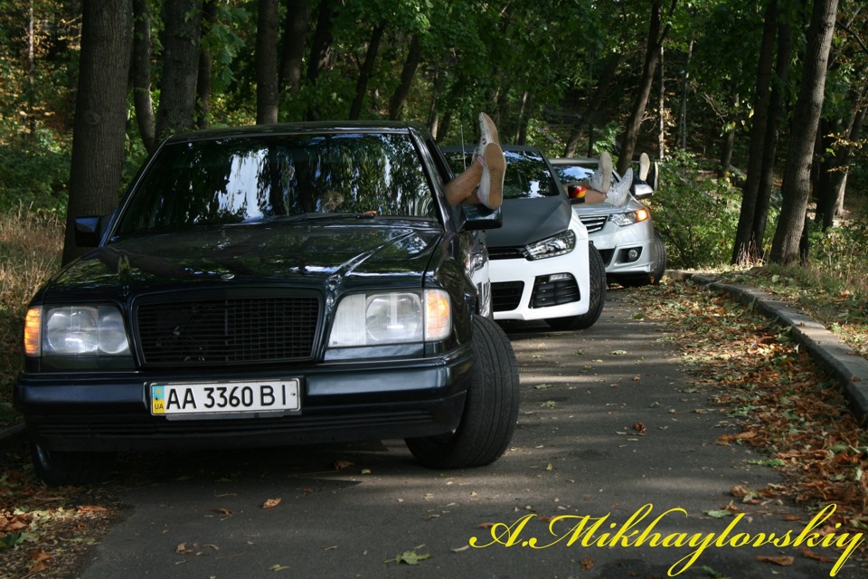 Фото звіт осінь 3