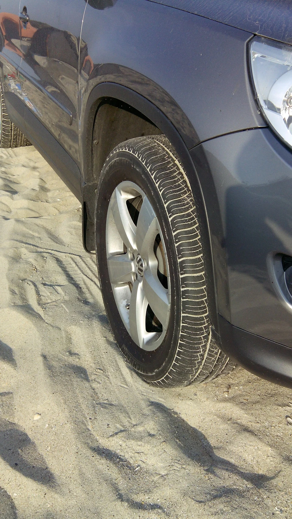 Знову в пісок або візит до павукового царства