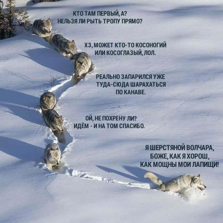 Історія однієї фотосесії 5