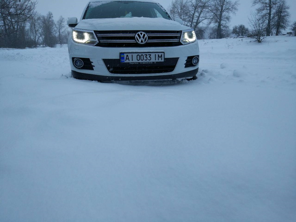 Снігова весна)) 1