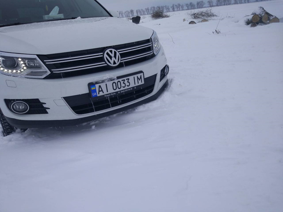 Всіх з весною)) 1