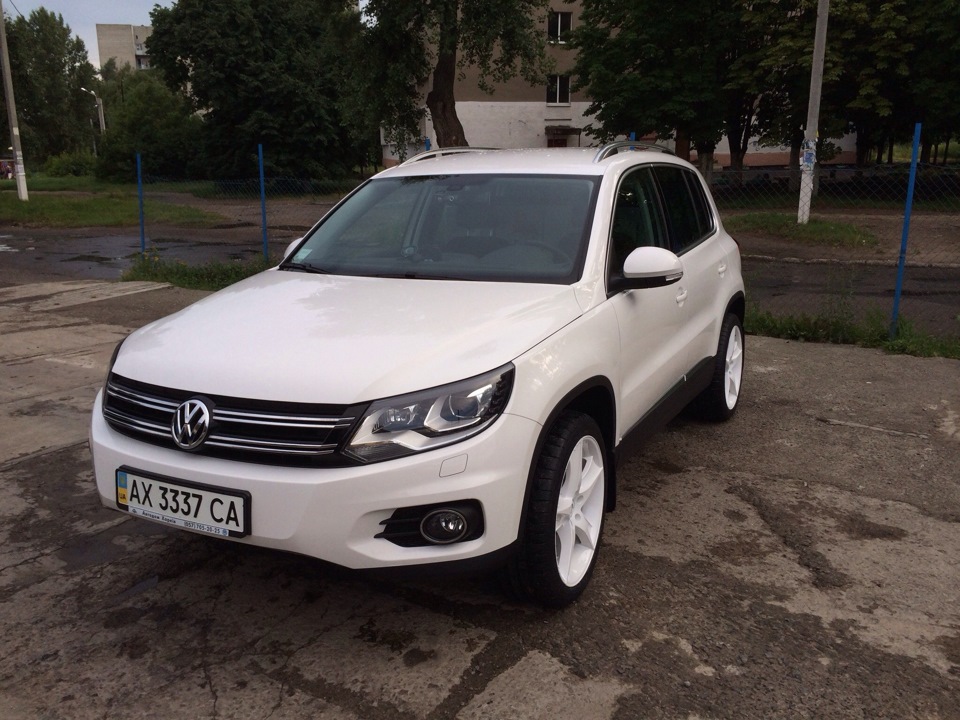 Зустрічайте нові тапки. 4