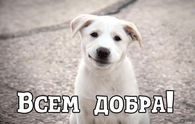 Результати виборів... 2