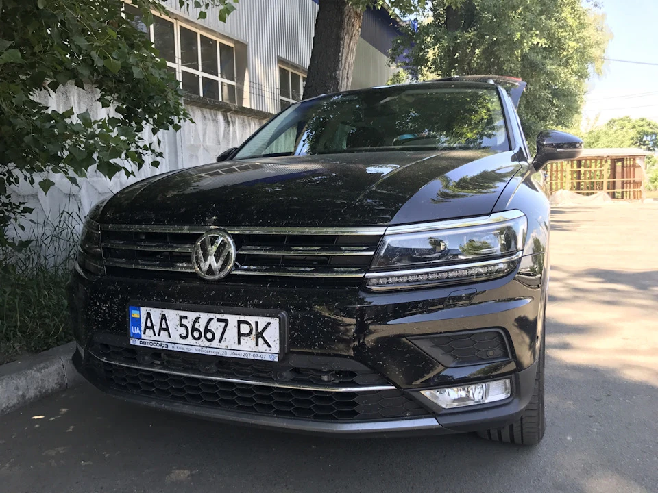 Повернення на батьківщину та всякі ніштяки з Алі :)