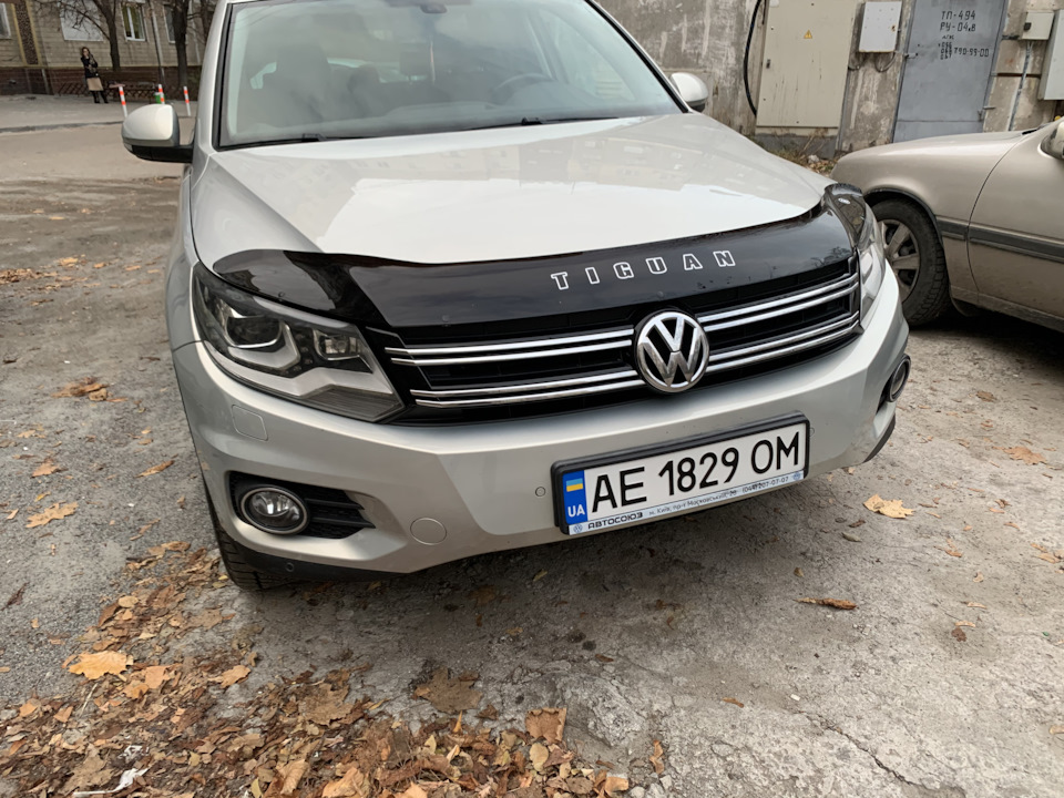 Видалення брови 🤨 1