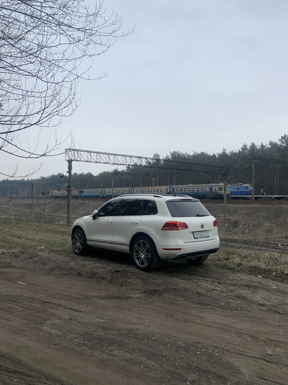 Поставив літні колеса