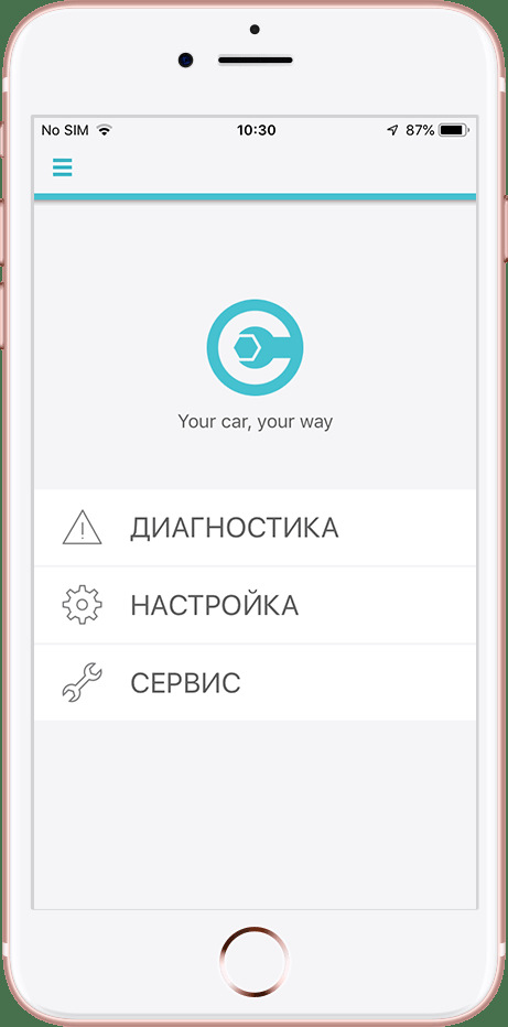Додаємо прихований функціонал за допомогою Carista 1
