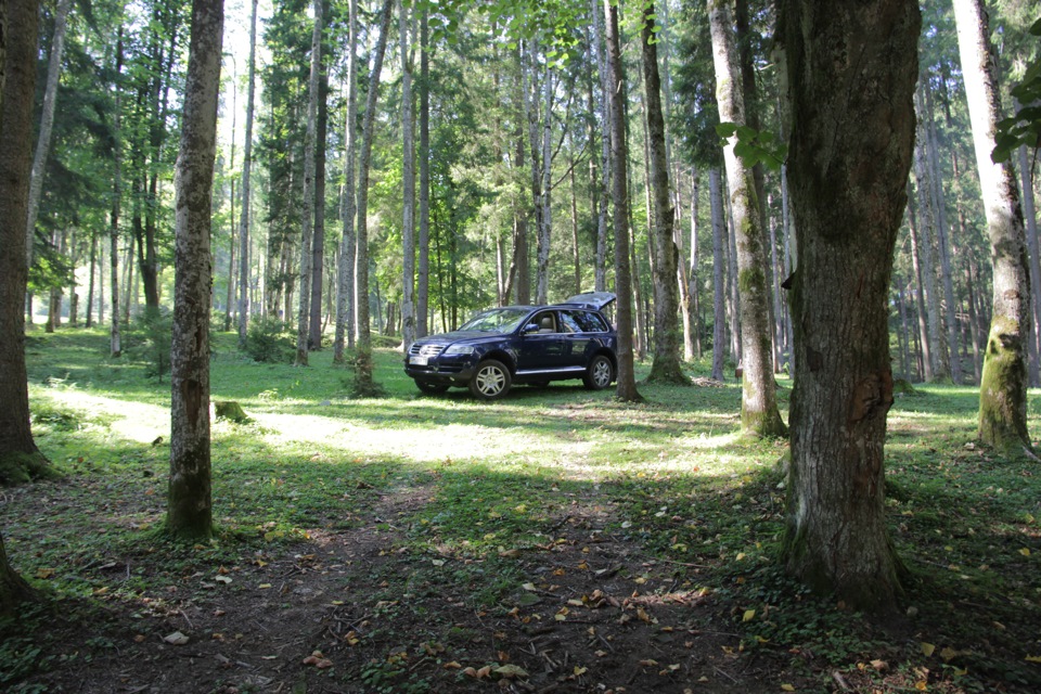 закарпаття 5
