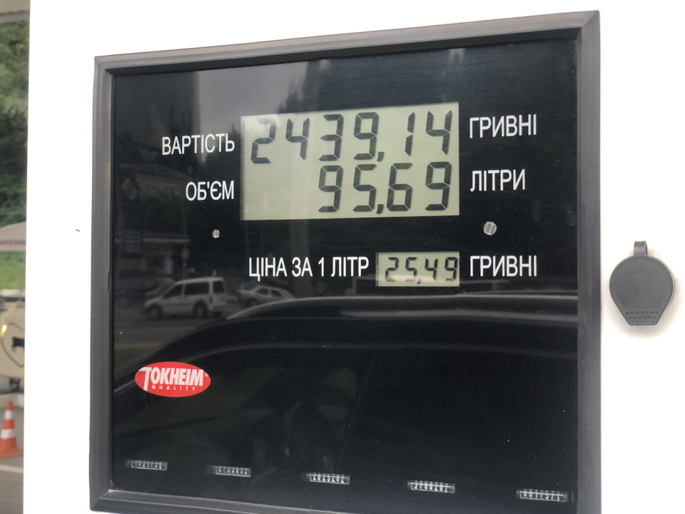 Новий член сім'ї 2