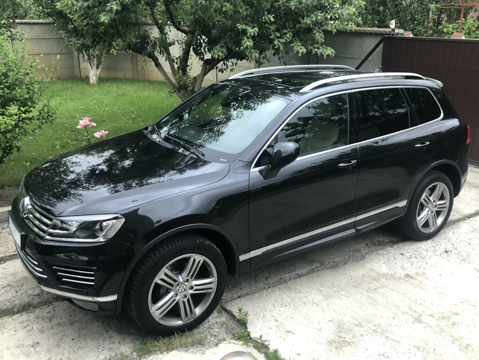 Новий член сім'ї 4
