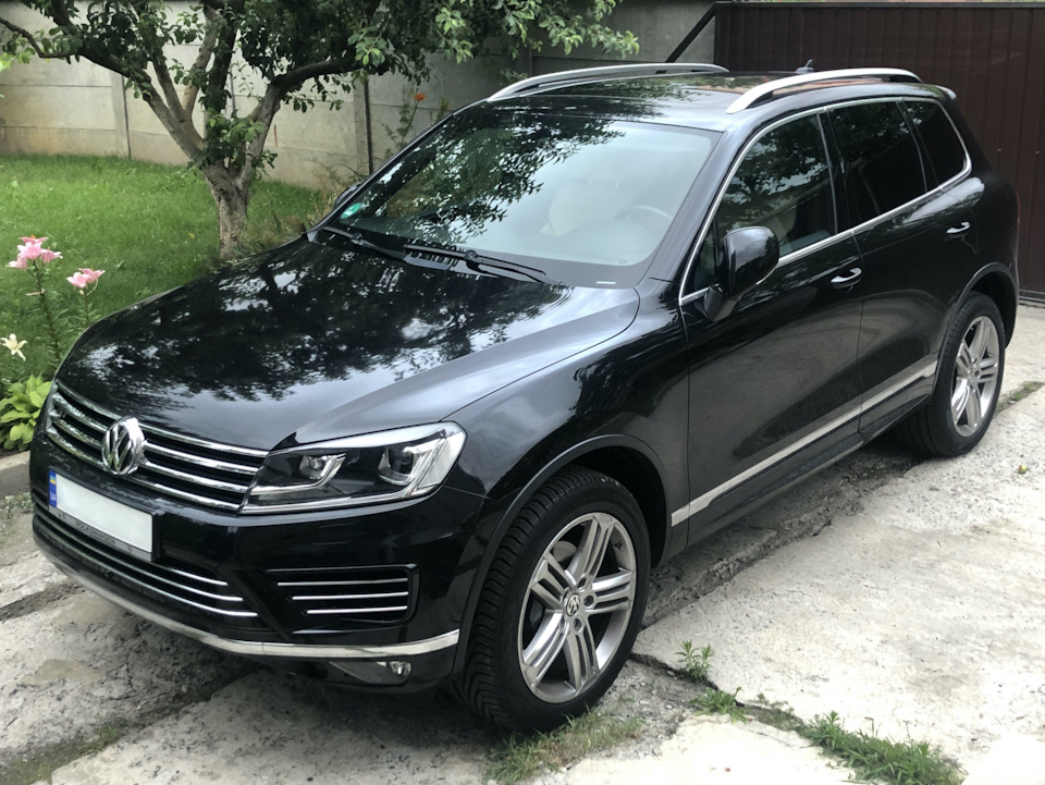 Новий член сім'ї 3