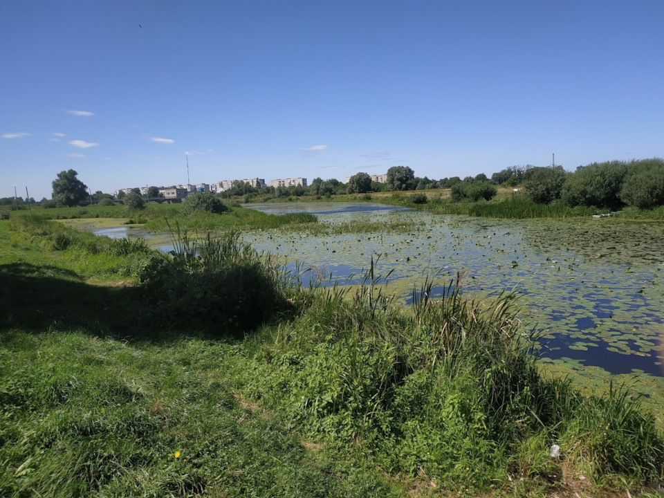 Путешествие в Ковель 2