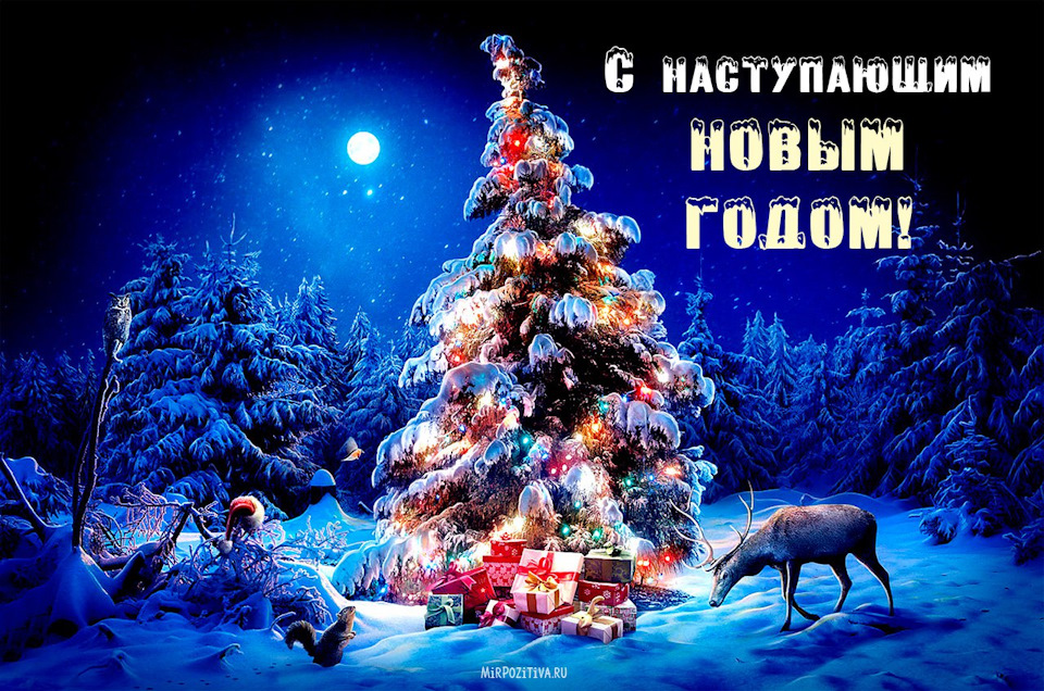 З наступаючим Новим 2018 роком! 1