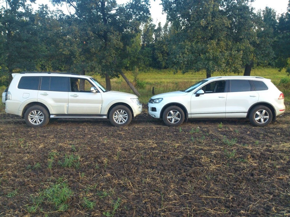 Дві звірі :) 4