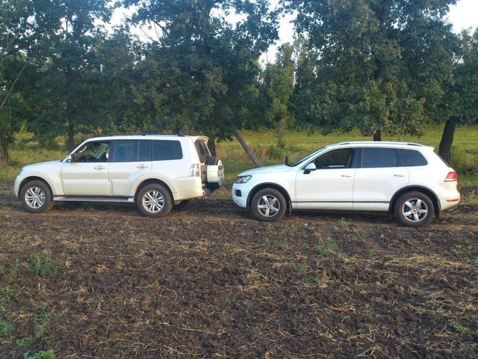 Дві звірі :) 3