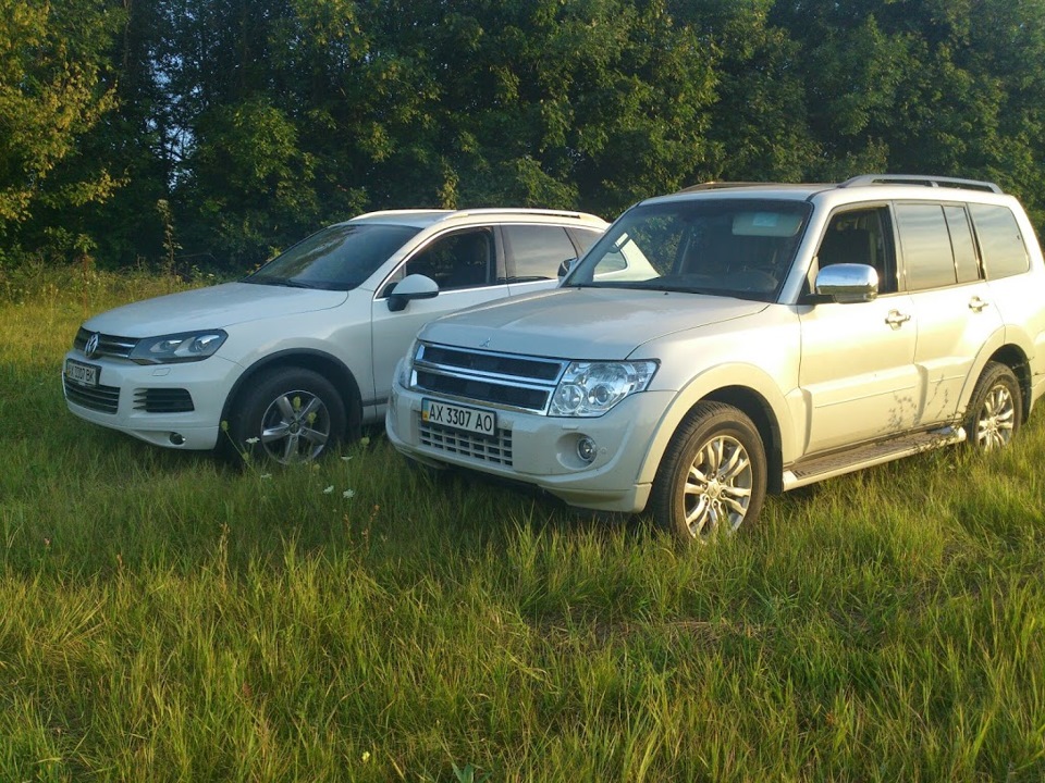 Дві звірі :) 2