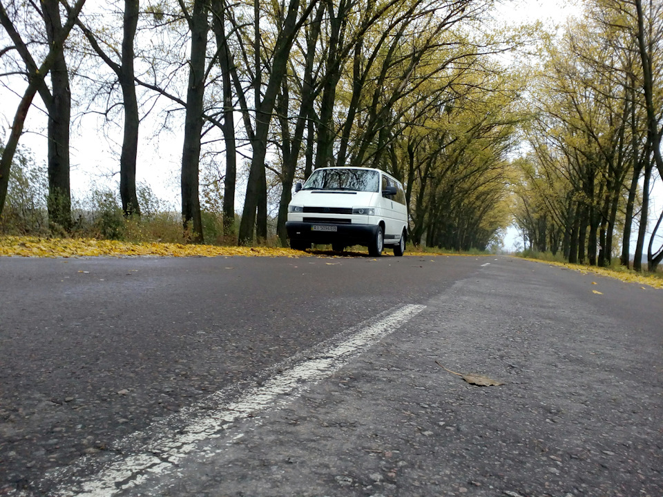 Трішки фото т4іка 1