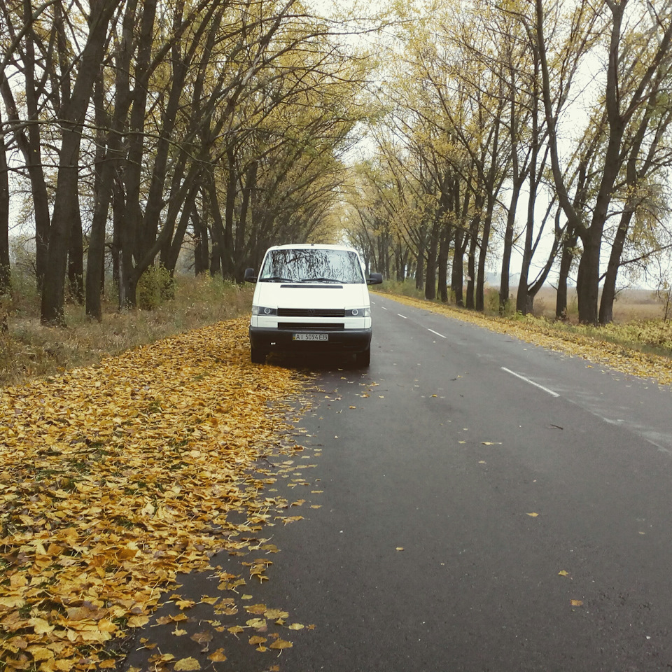 Трішки фото т4іка 5