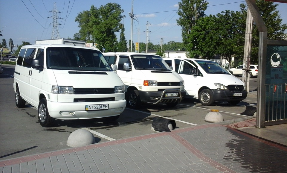 Течики))) 3