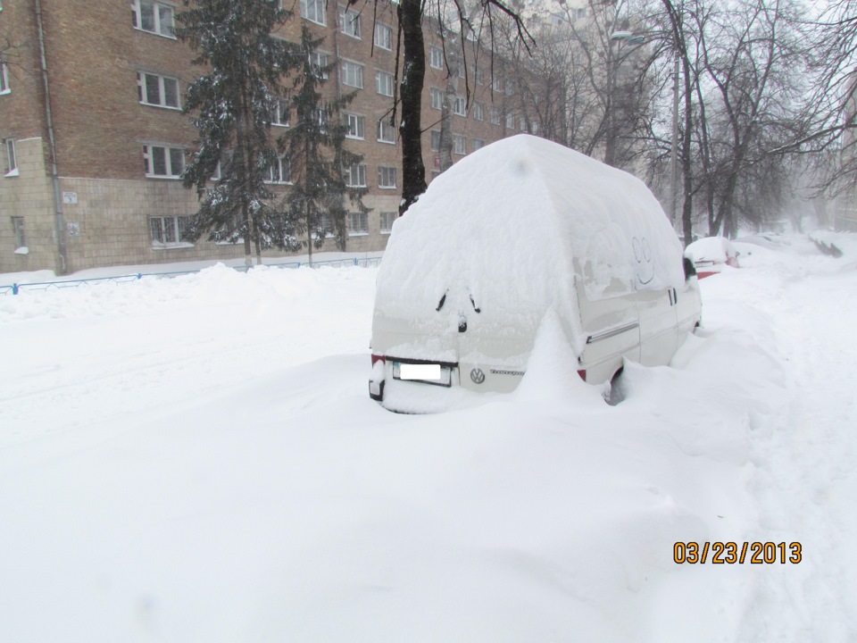 Прийшла весна, коти... У ШОКУ))) 4