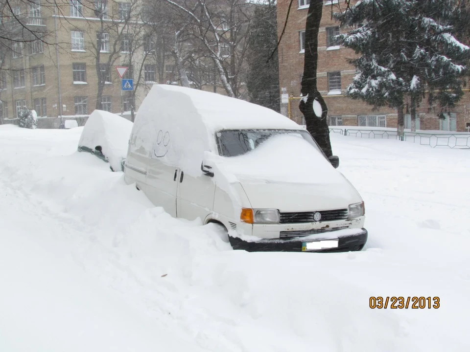 Прийшла весна, коти... У ШОКУ)))