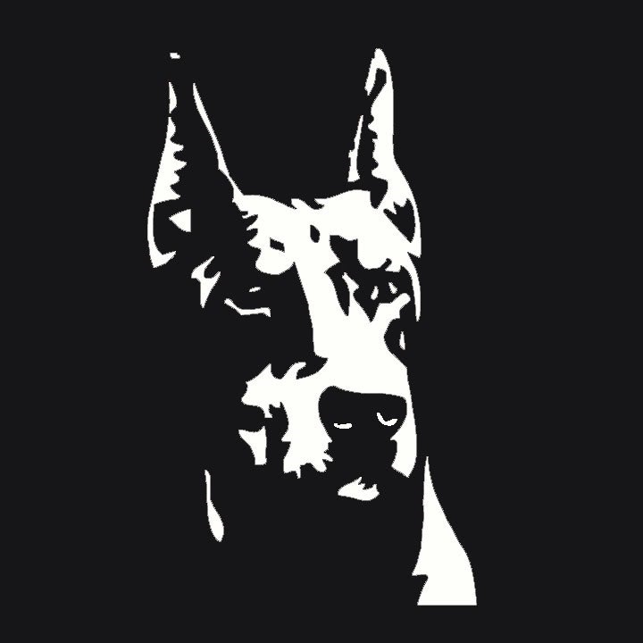 Doberman 1