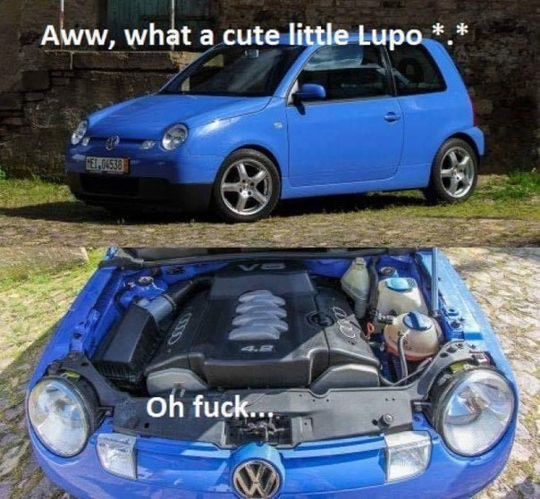 Ой, який миленький Lupo… Твою ж! 1