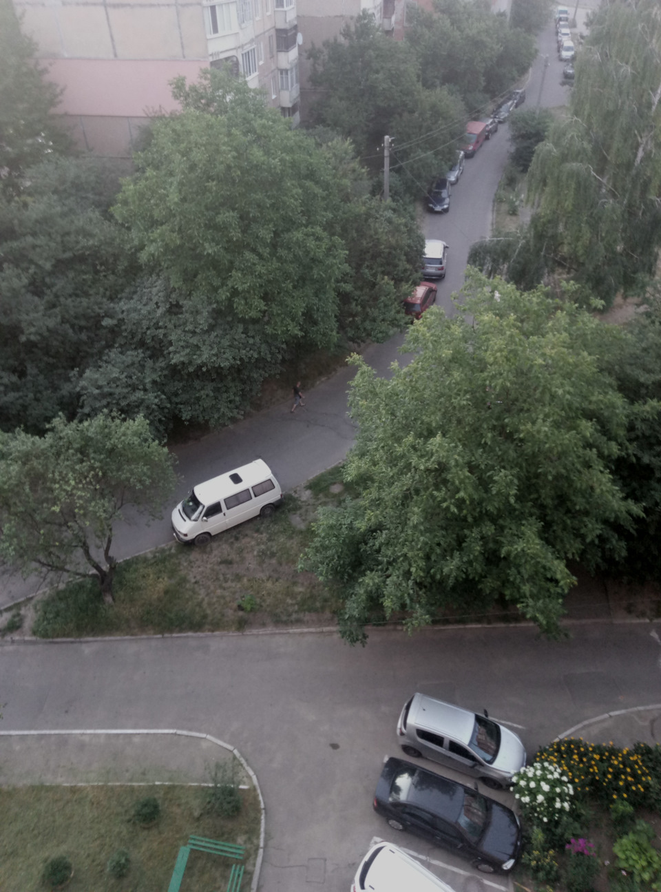 Кілька фото з життя 5