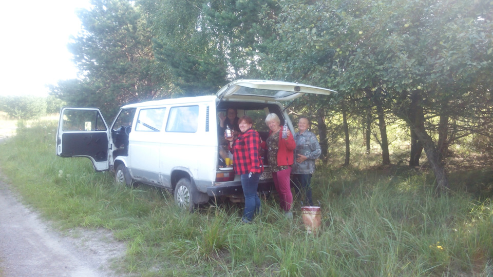 Гриби 4
