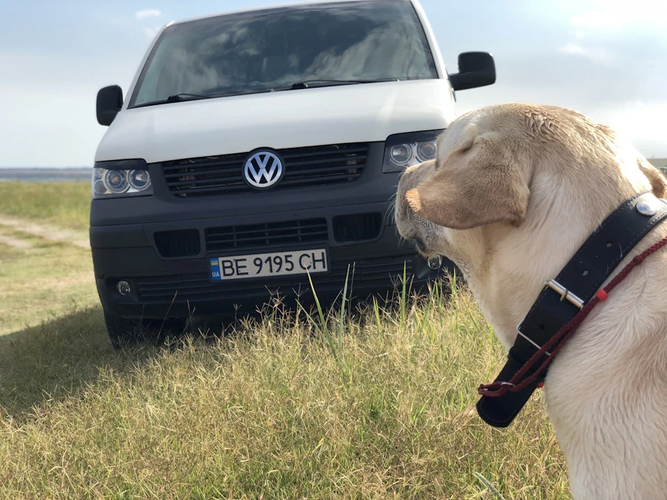 На своєму місці