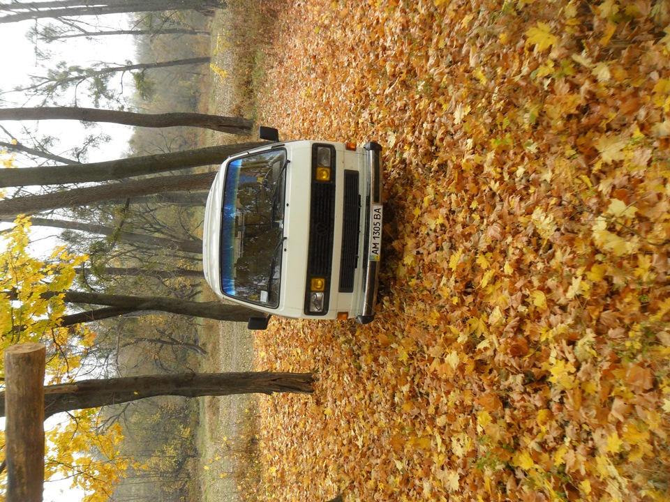 Осінь! 5