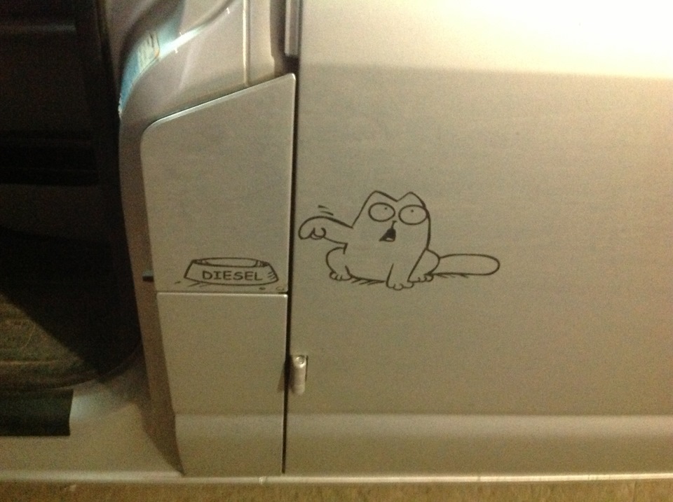 Коте. 1