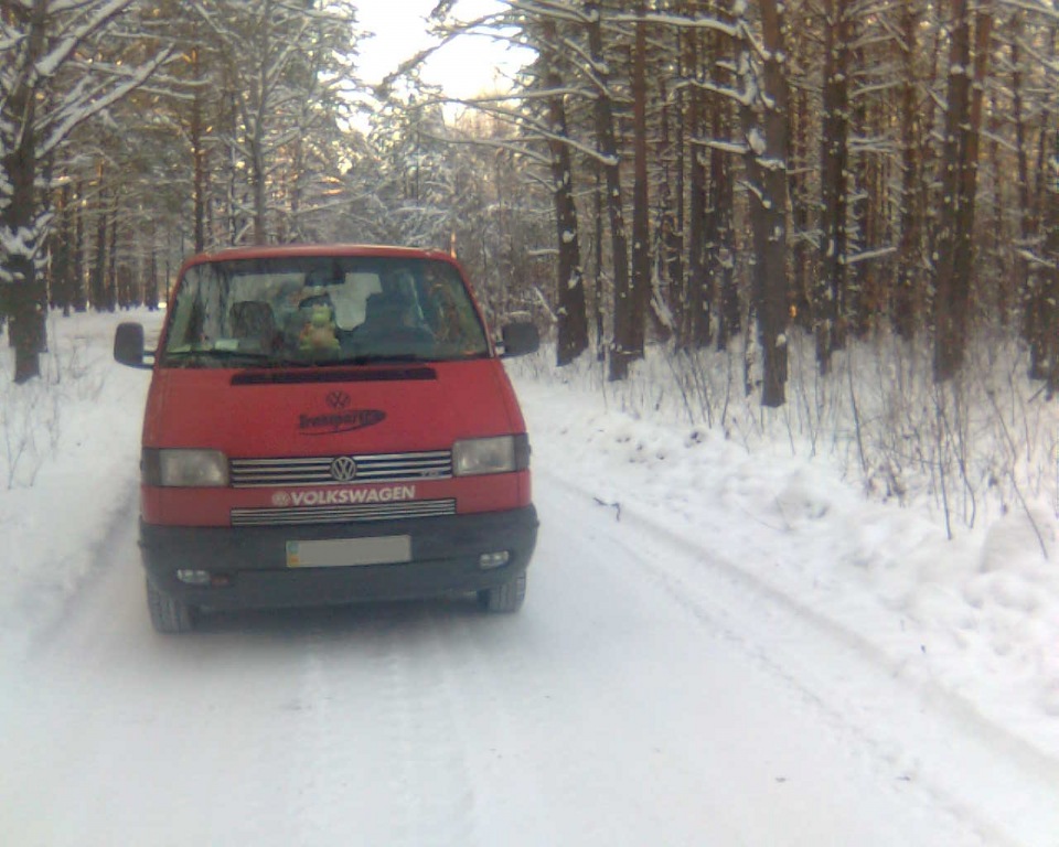 Зимовий ліс. 4