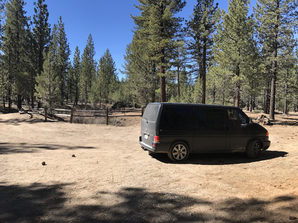 Gold Fever Trail 2