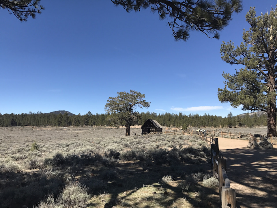 Gold Fever Trail 3