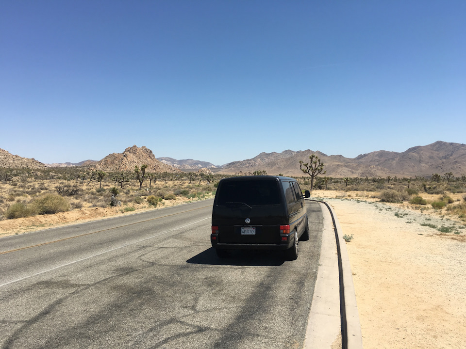 Joshua Tree Park + Salton City 2