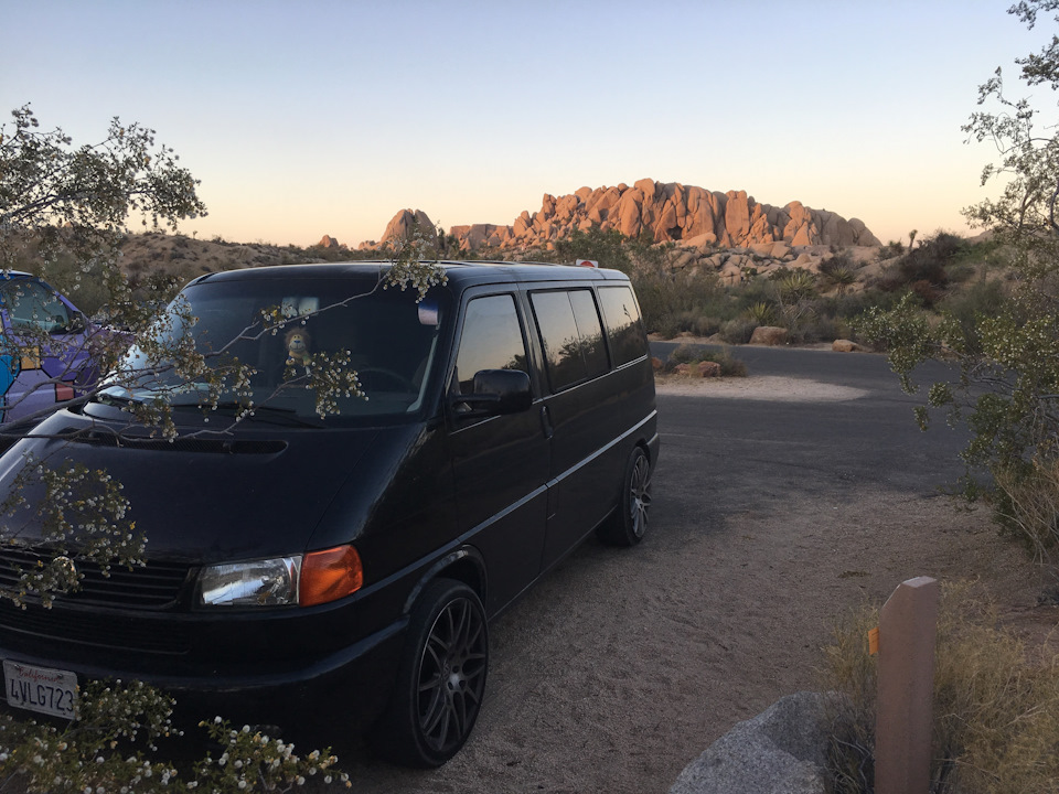 Joshua Tree Park + Salton City 1