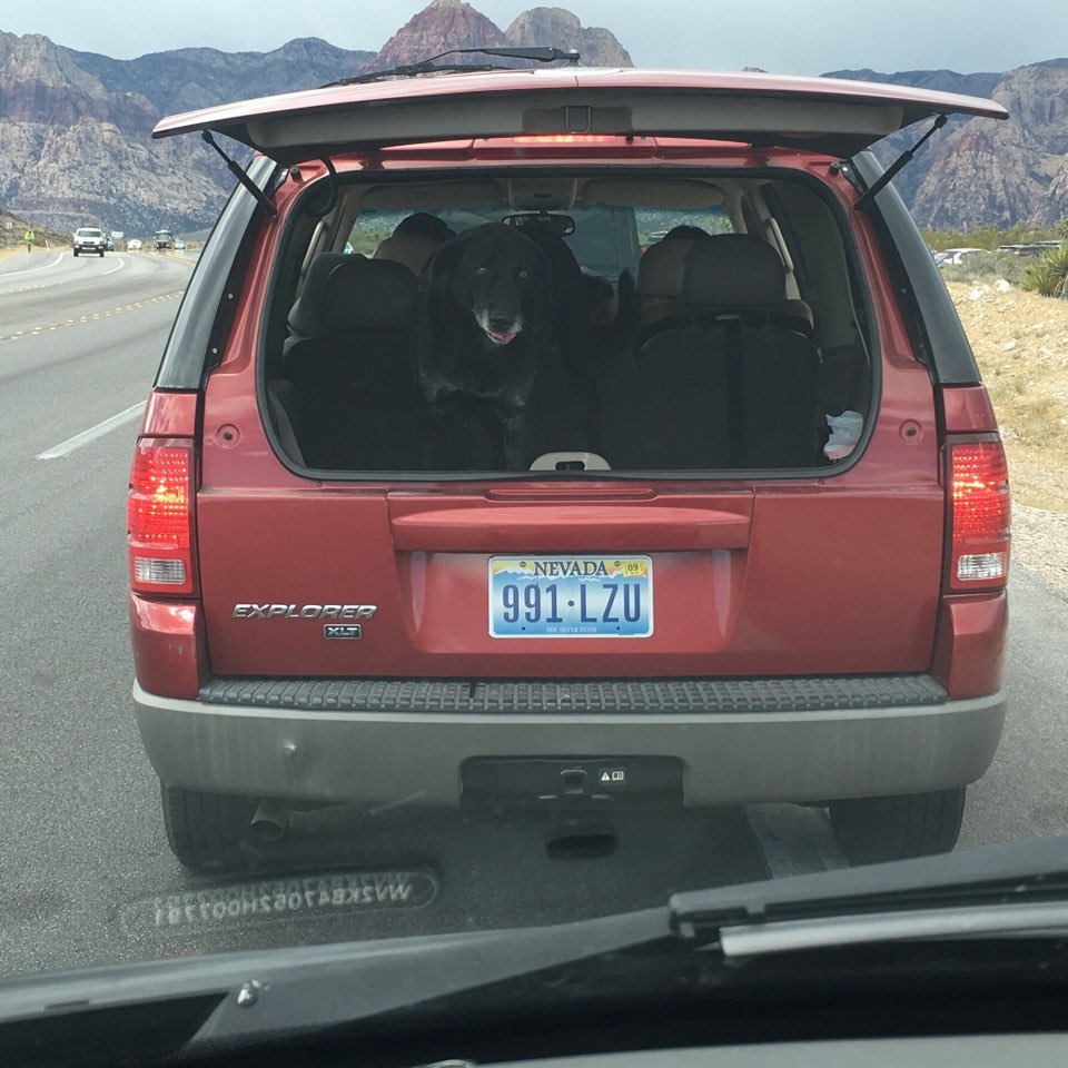Las Vegas 3