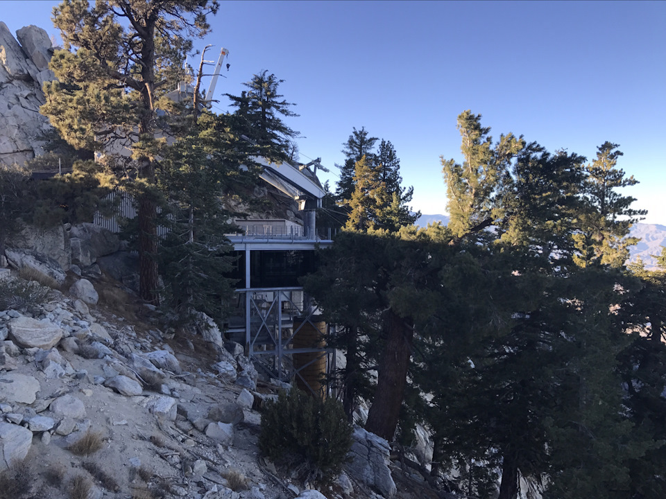 Palm Springs 3
