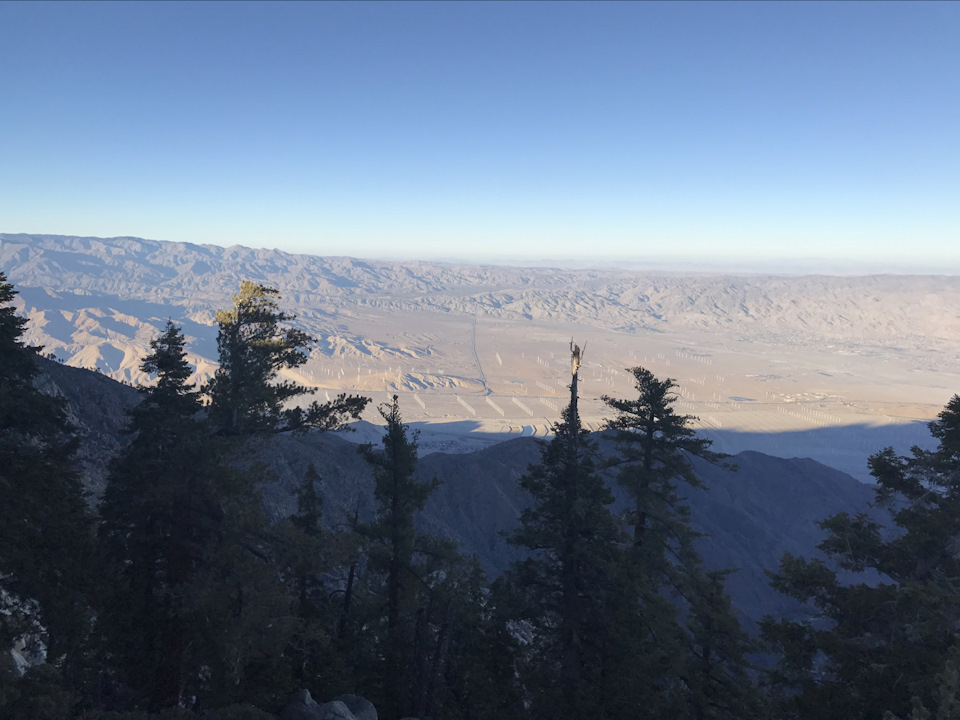Palm Springs 4