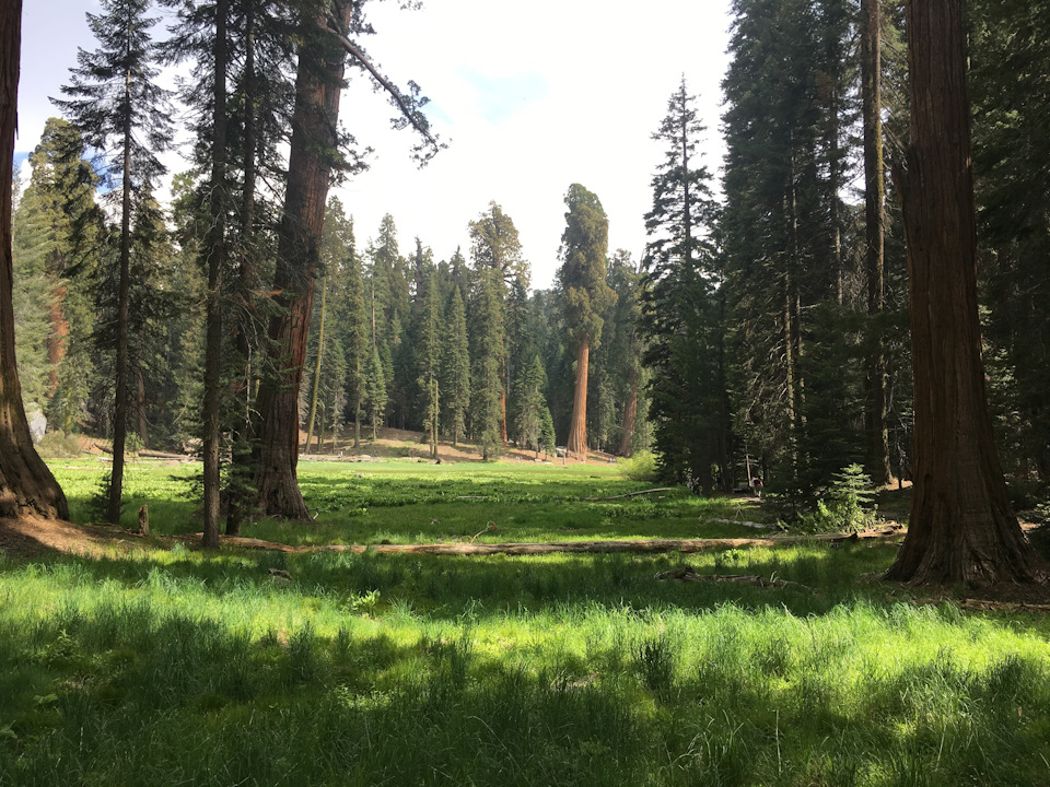 Sequoia Park + Solvan City + Santa Barbara 5