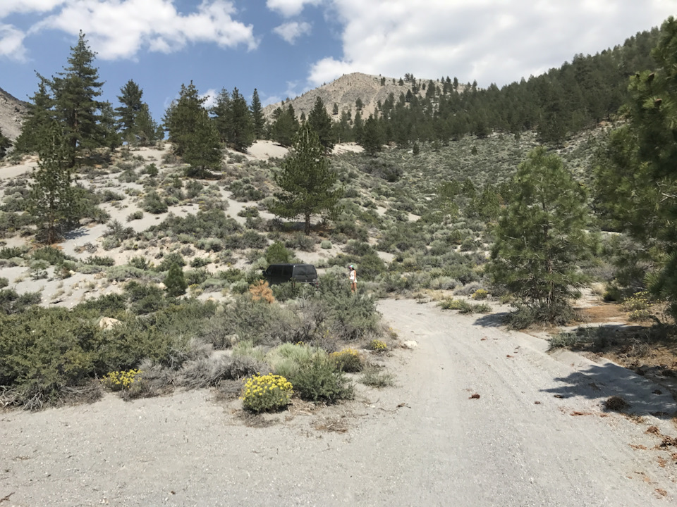 Yosemite + Mammoth 5