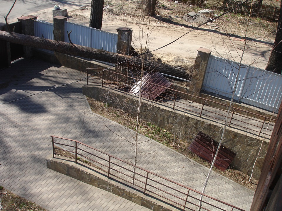 Подув легкий вітерець і… 2