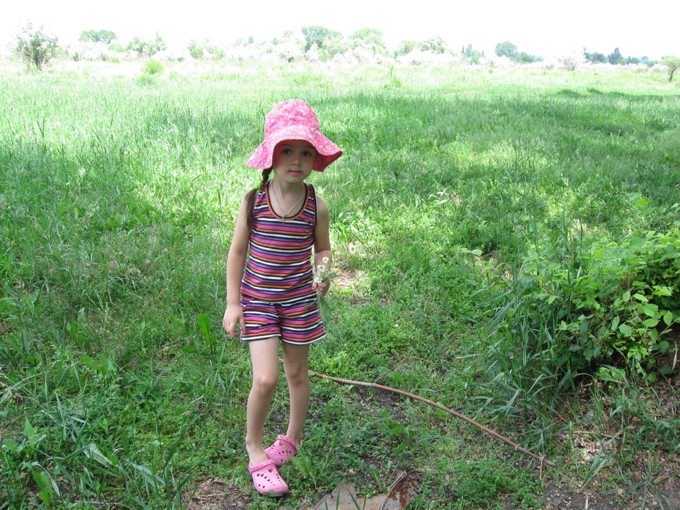 Літо, ліс, річка 3