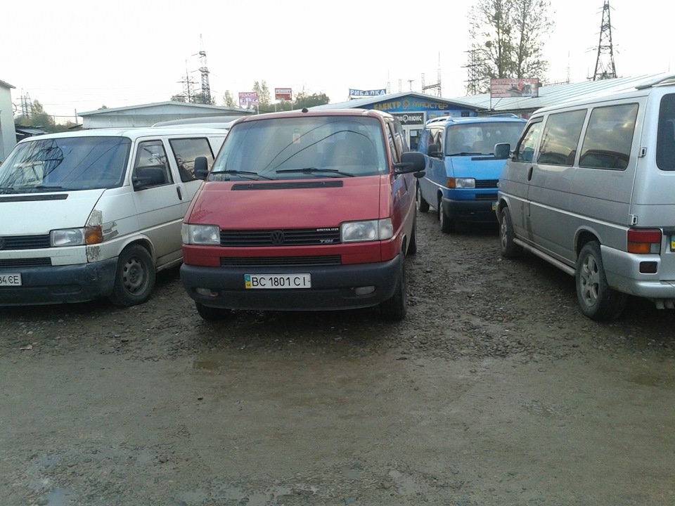 Стая)) 1
