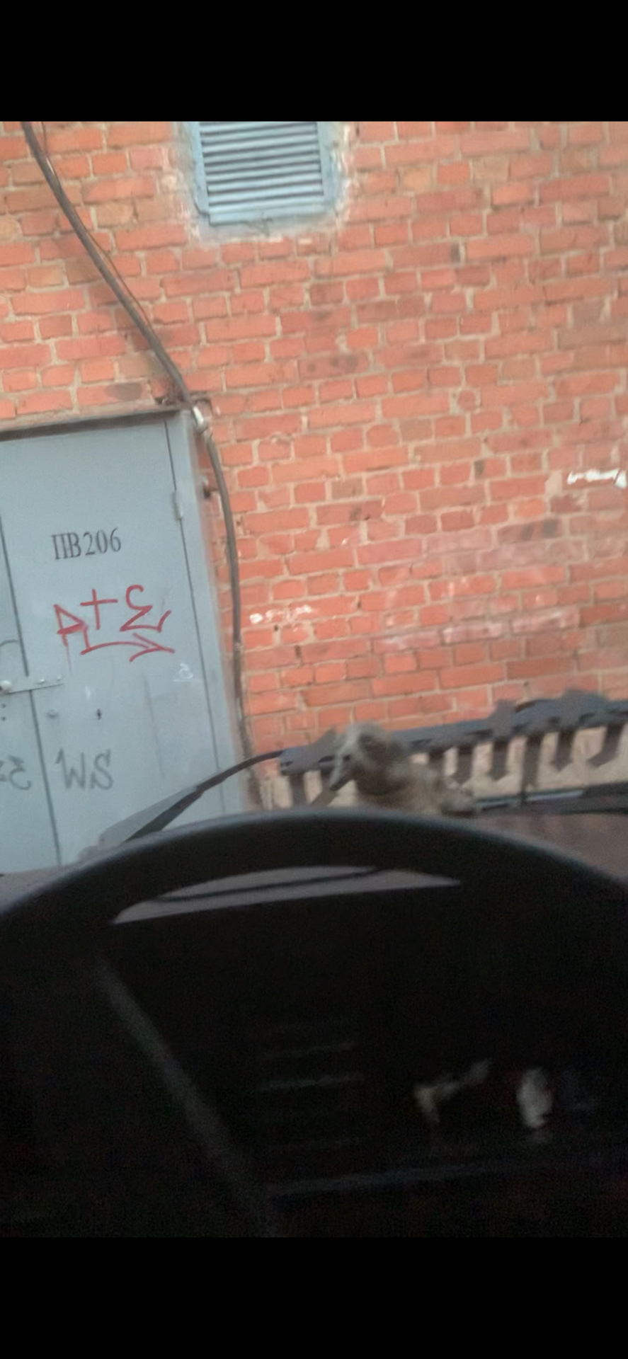 Тазик закатаний) 2