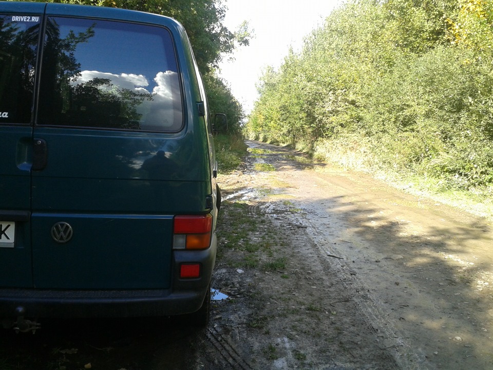 В ліс за грибами 3