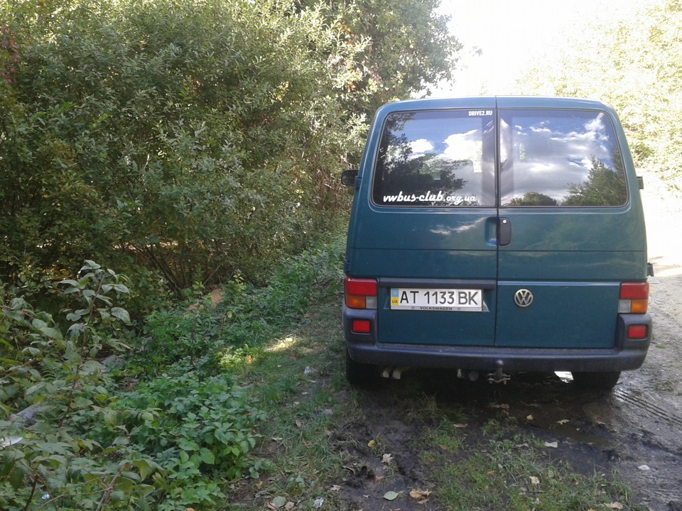 В ліс за грибами 2