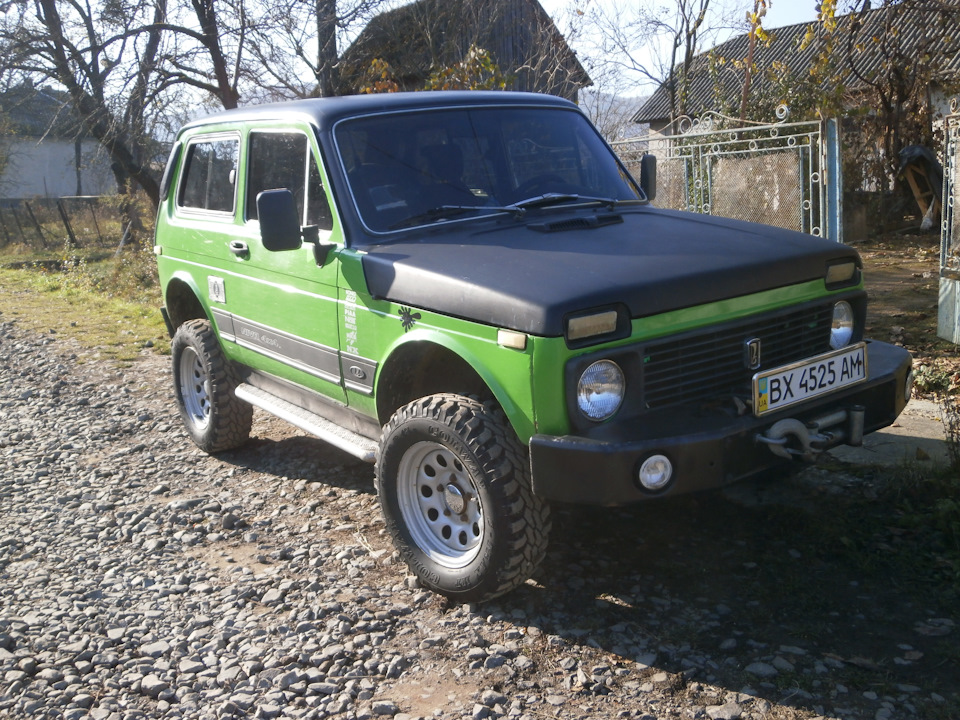 бус у їхав у левів 1